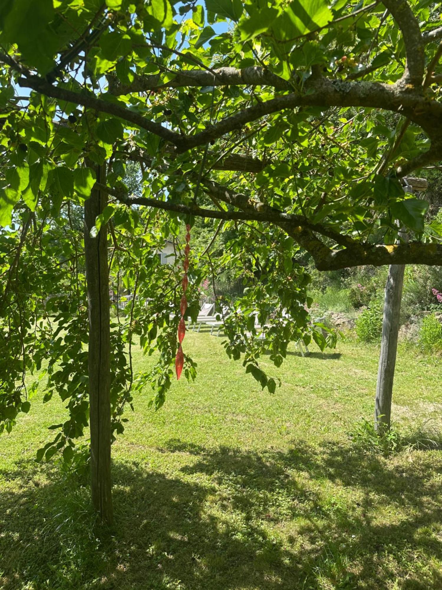 Collina Di Sopra Villa Tresana Ngoại thất bức ảnh